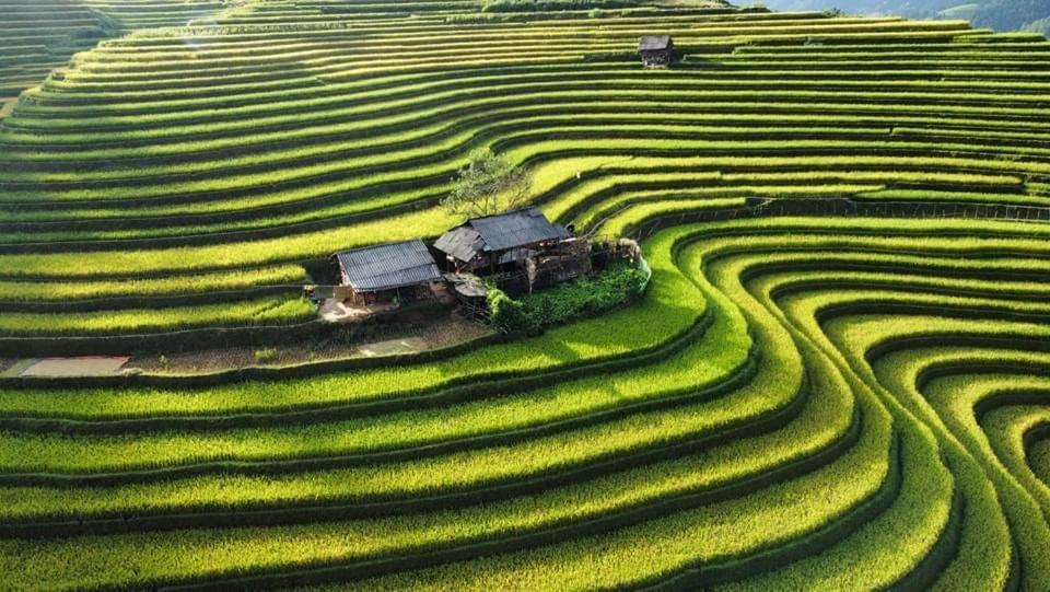 Homestay Hoa Thao - Bus ,Trek & Motorbike Mu Cang Chai Exterior foto