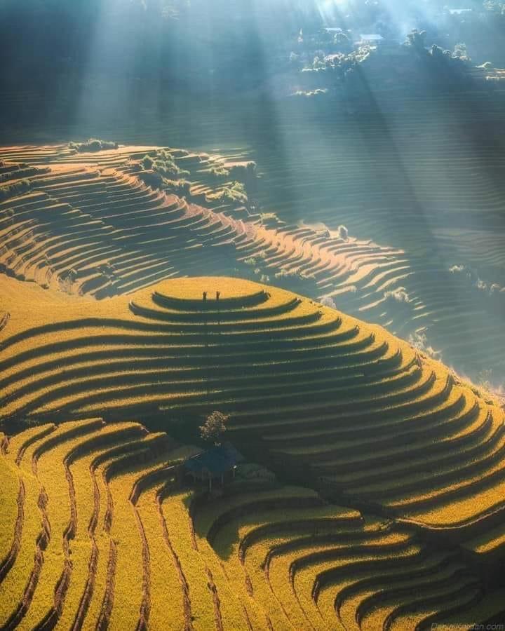 Homestay Hoa Thao - Bus ,Trek & Motorbike Mu Cang Chai Exterior foto